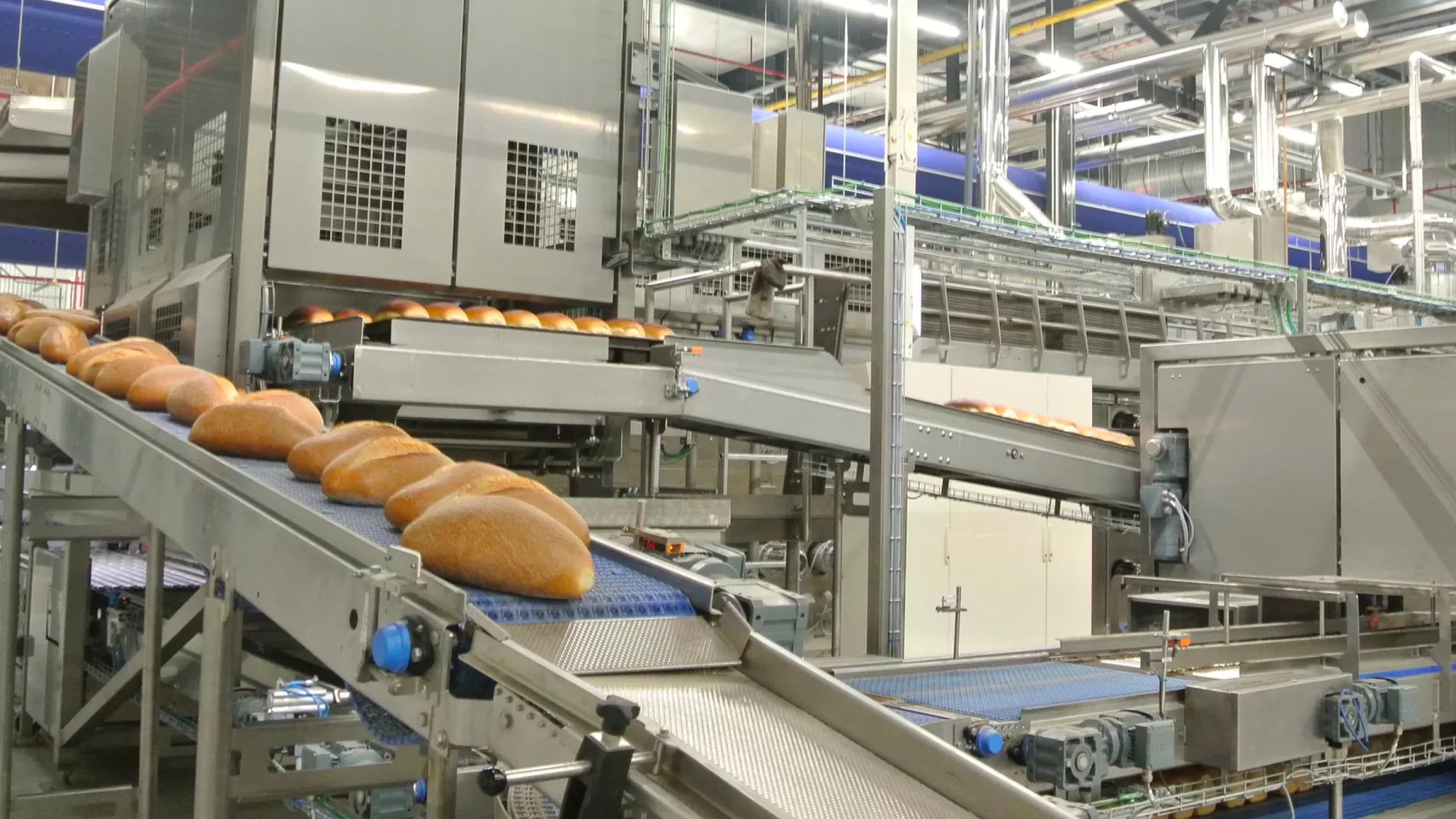 Productlijn fabriek Royal Kaak