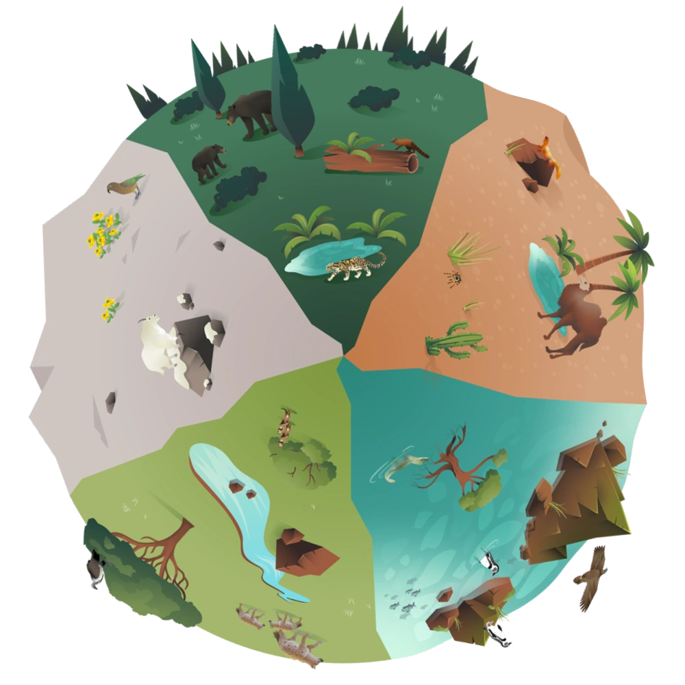 Verschillende biotopen