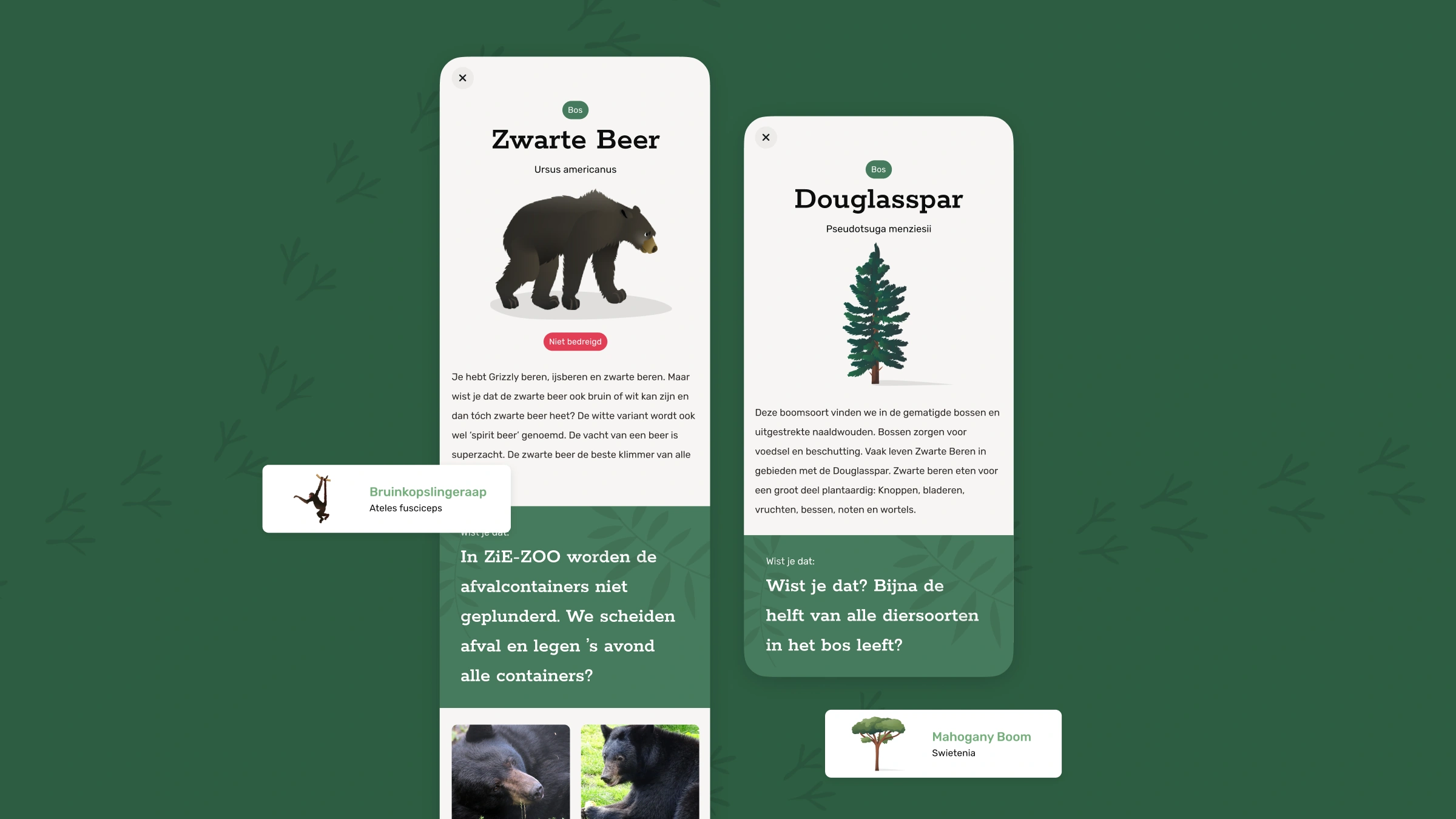 Detailinformatie dieren en planten ZiE-ZOOPIA app